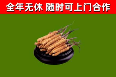 石阡烟酒回收冬虫夏草.jpg